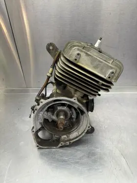 Polaris 1211455 1998 90 91 92 93 94 95 96 97 Trailboss 250 Engine