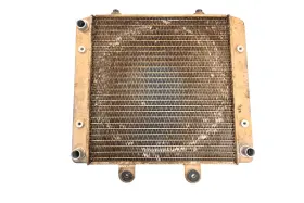 Polaris 1240152 07 Sportsman 450 4x4 Radiator