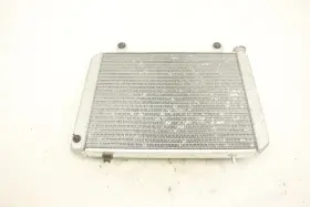Polaris 1240209 Ranger 500 Efi 06 Radiator 40715