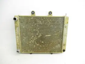 1240521 Polaris 04 Sportsman 700 Efi Radiator Cooling 2004-2014