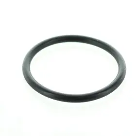Polaris 1800030 New Oem O Ring Body