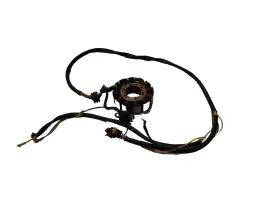 Polaris 2202603 2003-2004 Sportsman 600 Twin Stator Ignition Coil