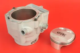 2203410 Polaris 2007 - 2011 Outlaw 525 Irs Cylinder Piston Jug Barrel Top End Nice