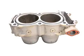 Polaris 3022579 16 Rzr 900 S 4x4 Efi Cylinders For Parts