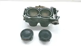 Polaris 3023156 2017 General Deluxe Eps Engine Cylinder Jug Twin W Pistons