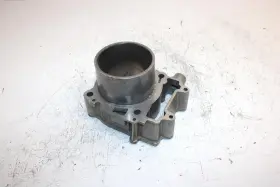 3024041 Polaris 2014 Sportsman 570 Oem 99mm Bore Cylinder Ap73