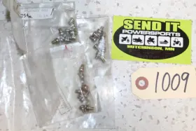 Polaris 3081260 P6 Nos 29 Pack Screw And Washer