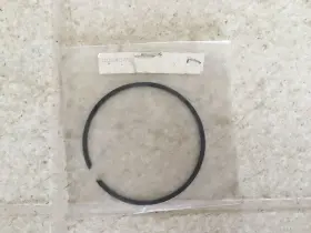 Polaris 3084343 Oem Piston Ring