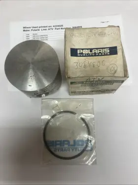 3084800 Polaris 3084806 300 Piston 3085894 With Ring Brand New Oem One Only