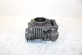 3087147 Polaris 2000 Sportsman 325 Oem 77mm Bore Cylinder Ap11