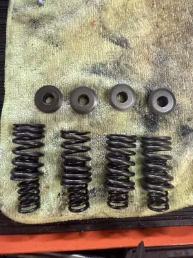 3087983 Polaris 2003-2007 Outlaw Predator 500 Stock Valve Springs Oem