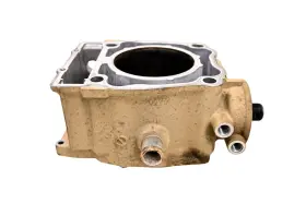 Polaris 3090293 13 Sportsman 500 4x4 Cylinder