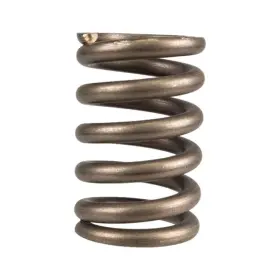 Polaris 7044274 New Oem Spherical Exhaust Spring