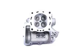 Power Sports Nation Psn12200-hn8-f40 Honda Rincon 680 2015-2024 Pioneer 700 Engine Cylinder Head Rebuilt