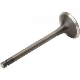 Pro X 28.2487-1 Steel Exhaust Valve