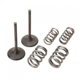 28.sis4406-2 Pro X Steel Intake Valve/spring Kit For Atv/utv