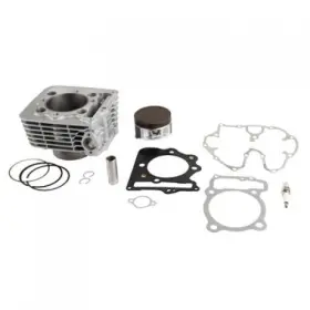 Qa Parts 182-154-0004 Cylinder And Piston Kit