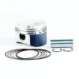 Rareelectrical S4f081500020-2z8 New 81.5mm Bore Piston Kit Fits Honda Atc-x 350cc Trx By S4f081500020