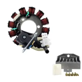 Rmstator Rms900-107365 Kit Stator Voltage R Egulator