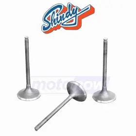 Shindy Mn/5gwx Valve Set For 1987-1999 Yamaha Yfm350fw Big Bear 4x4 - Engine Ip