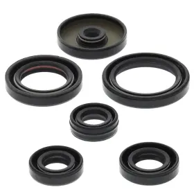 Sledpartsguy 822229 Yamaha Raptor 80 2002-2008 Engine Crank / Oil Seal Set