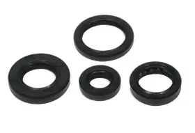 Sledpartsguy 822250 Yamaha Breeze And Grizzly 125 1991-2012 Engine Crank / Oil Seal Set