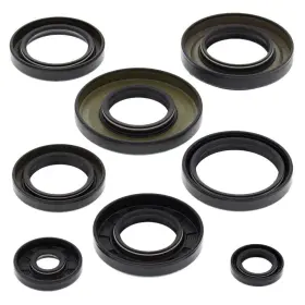 Sledpartsguy 822253 Yamaha Wolverine 350 2006-2009 Engine Crank Seals