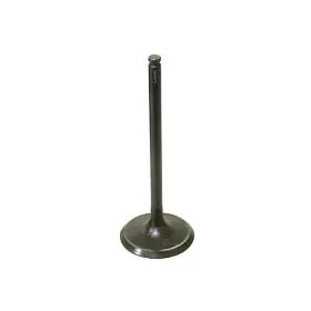 Sports Parts Au-09166i Fits For Bronco Au 09166i Intake Valve