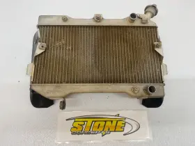 Suzuki 17710-45g00 Oem 2006 2007 2008 2009 Ltr450 Lt R450 Ltr 450 Radiator Cap Cover Grille