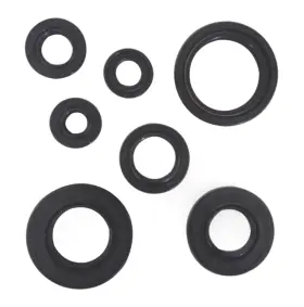 Topteng M564-a029 Complete Engine Motor Oil Seal Kit Fit Yamaha Yfs 200 Blaster Atv 1988-2006 T9