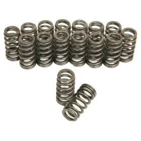 Trick Flow Tfs-16918-16 1.055 Beehive Valve Spring Set