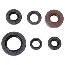 Tusk 133-914-0002 Engine Oil Seal Kit