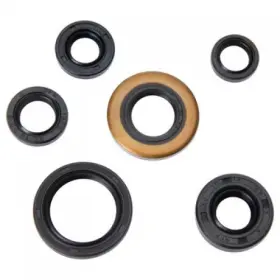 Tusk 133-914-0004 Engine Oil Seal Kit
