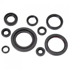 Tusk 133-914-0006 Engine Oil Seal Kit