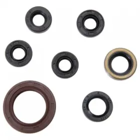 133-914-0007 Tusk Engine Oil Seal Kit