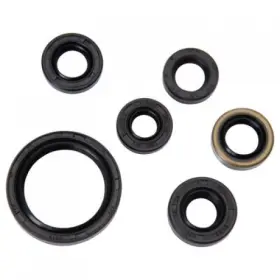 Tusk 133-914-0008 Engine Oil Seal Kit