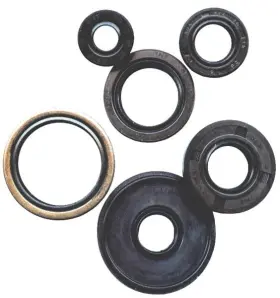 Vertex 5374-v601326-atv Oil Seal Kit For 2015-2019 Polaris Sportsman 850 Sp Atv