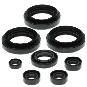 822152 Vertex Pistons Vertex-winderosa Engine Oil Seal Kit #822152 Fits Suzuki Kingquad 300