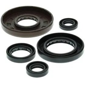 822208 Vertex Pistons Vertex-winderosa Engine Oil Seal Kit For Honda Trx400fw Foreman 4x4 1995-2003