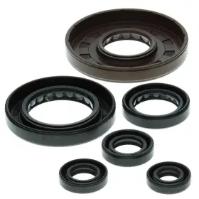 Vertex Pistons 822209 Vertex-winderosa Engine Oil Seal Kit #822209 Honda Trx450