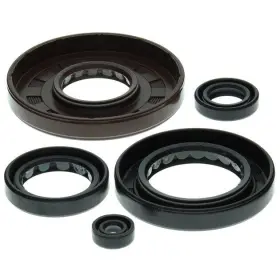 Vertex Pistons 822210 Vertex-winderosa Engine Oil Seal Kit #822210 Honda Trx500