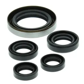 Vertex Pistons 822249 Vertex-winderosa Engine Oil Seal Kit #822249 Polaris Predator 500/outlaw 500