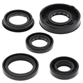 822322 Vertex Pistons Vertex-winderosa Engine Oil Seal Kit Polaris Sportsman 90/predator 90 2005-2006