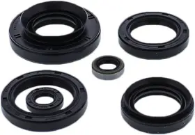 822881 Vertex Pistons Vertex-winderosa Engine Oil Seal Kit For Kawasaki Brute Force 750 2015-2018