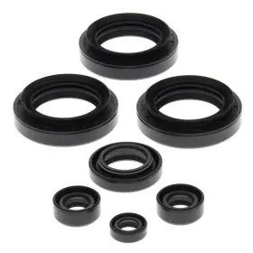 Aten-ar475459-07 Winderosa 1998-2005 Arctic Cat 300 4x4 Atv Vertex Engine Oil Seal Kit