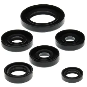 Winderosa Aten-ca475787-48 2000-2007 Can-am Ds650 Atv Vertex Engine Oil Seal Kit