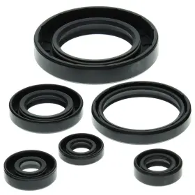 Aten-ca475795-49 Winderosa 1999-2005 Can-am Traxter 500 Atv Vertex Engine Oil Seal Kit
