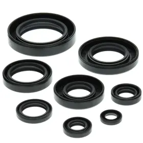Winderosa Aten-ho475499-12 1985-1986 Honda Atc250r Atv Vertex Engine Oil Seal Kit