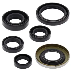 Winderosa Aten-ho476939-92 2009-2014 Honda Trx400x Atv Vertex Engine Oil Seal Kit