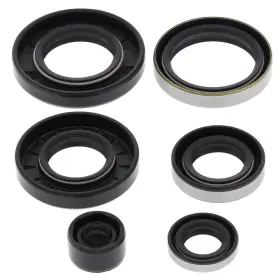 Winderosa Aten-ka476995-99 1984-1985 Kawasaki Kxt250 Tecate Atv Vertex Engine Oil Seal Kit